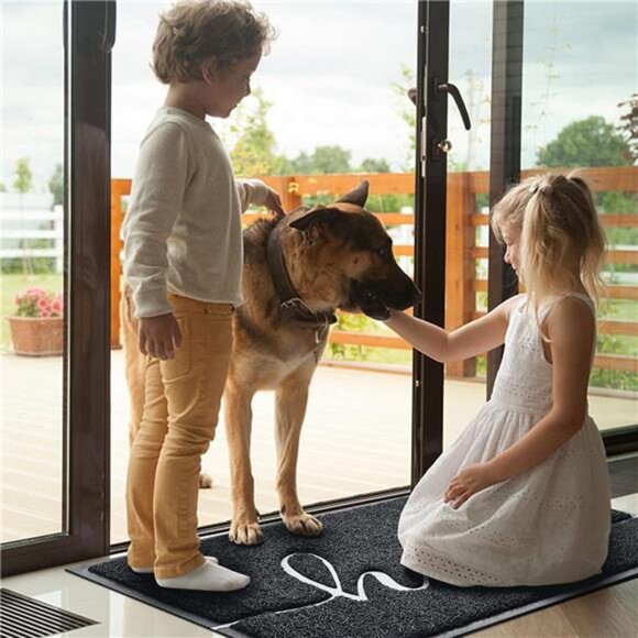 Door Mat (30"x17.5",Black), Welcome Mat Low Profile Front Doormat Floor Mat - Picture 6 of 7